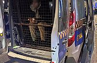 Spał przy przystanku, w kieszeni miał marihuanę